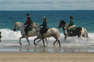Riding horses through the sea